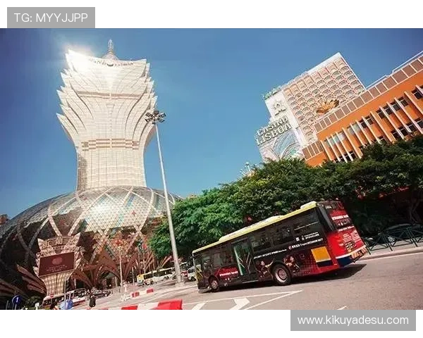 生死百家乐拔一拔澳门：详细解析澳门百家乐的规则、策略与实战经验分享