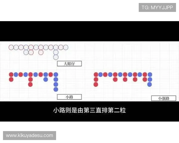 掌握百家樂下三路技巧实现稳健盈利的必备方法