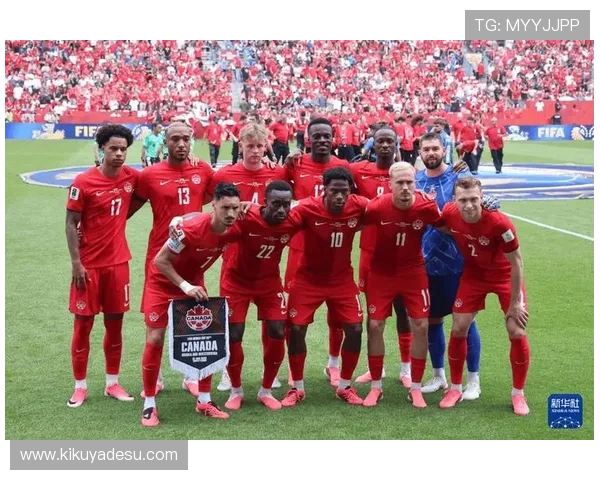 加拿大对波黑壁纸:为足球迷打造个性化世界杯壁纸,记录难忘比赛瞬间 加拿大对波黑壁纸:为足球迷打造个性化世界杯壁纸,记录难忘比赛瞬间